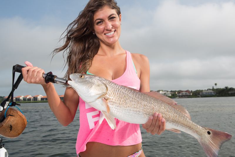 An angler with a slot redfish sight-fished on the Sarasota Bay grass flats