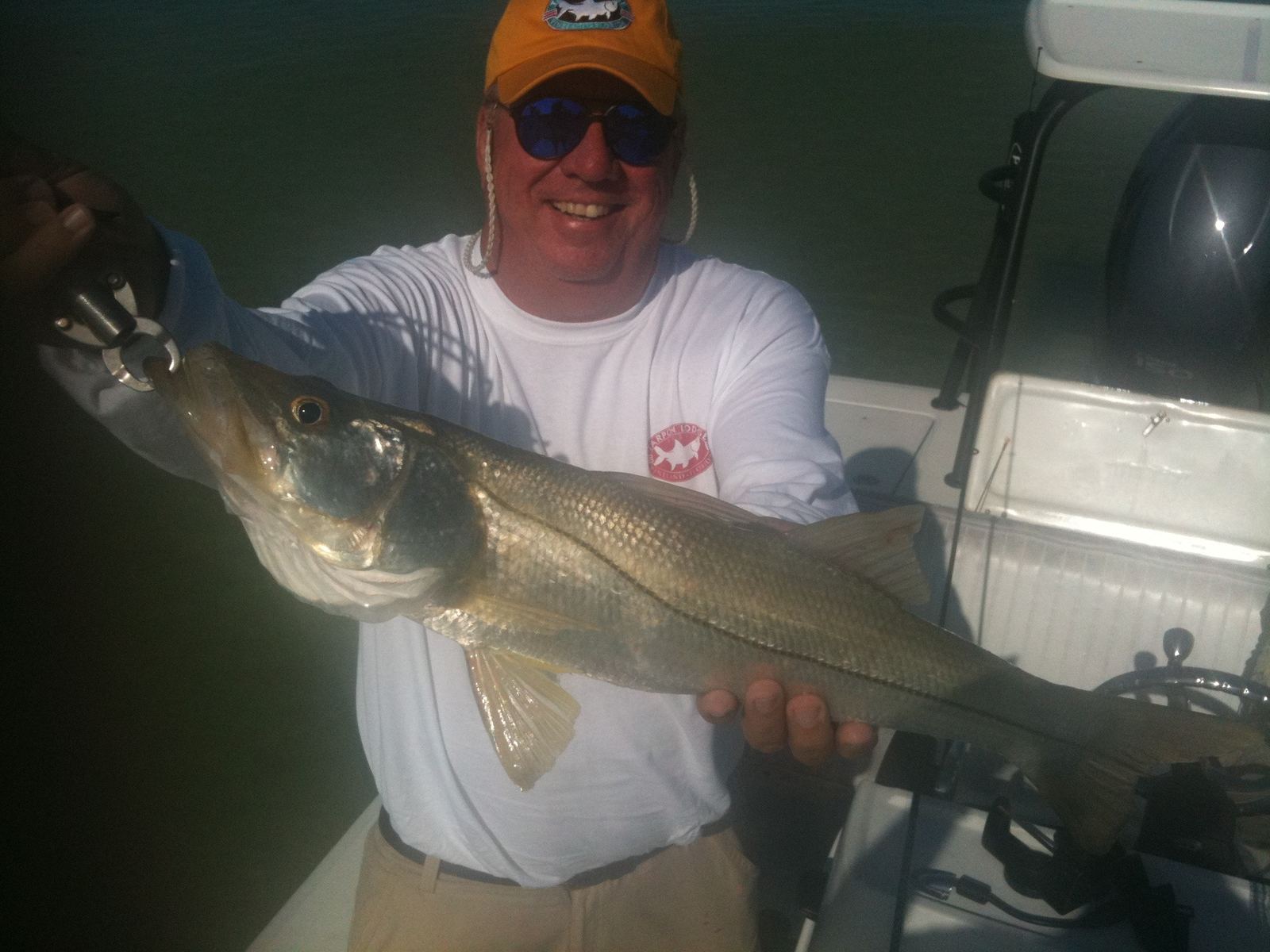 Snook on a boga grip, side-lit on the boat