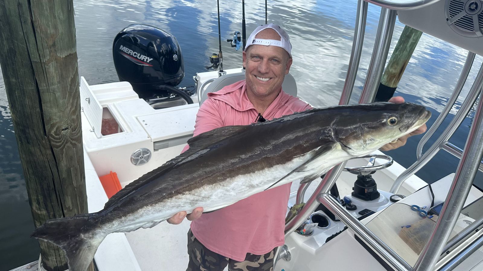 Cobia arrive in March and peak April–May, cruising the nearshore reefs, channel markers, and the backs of big rays.