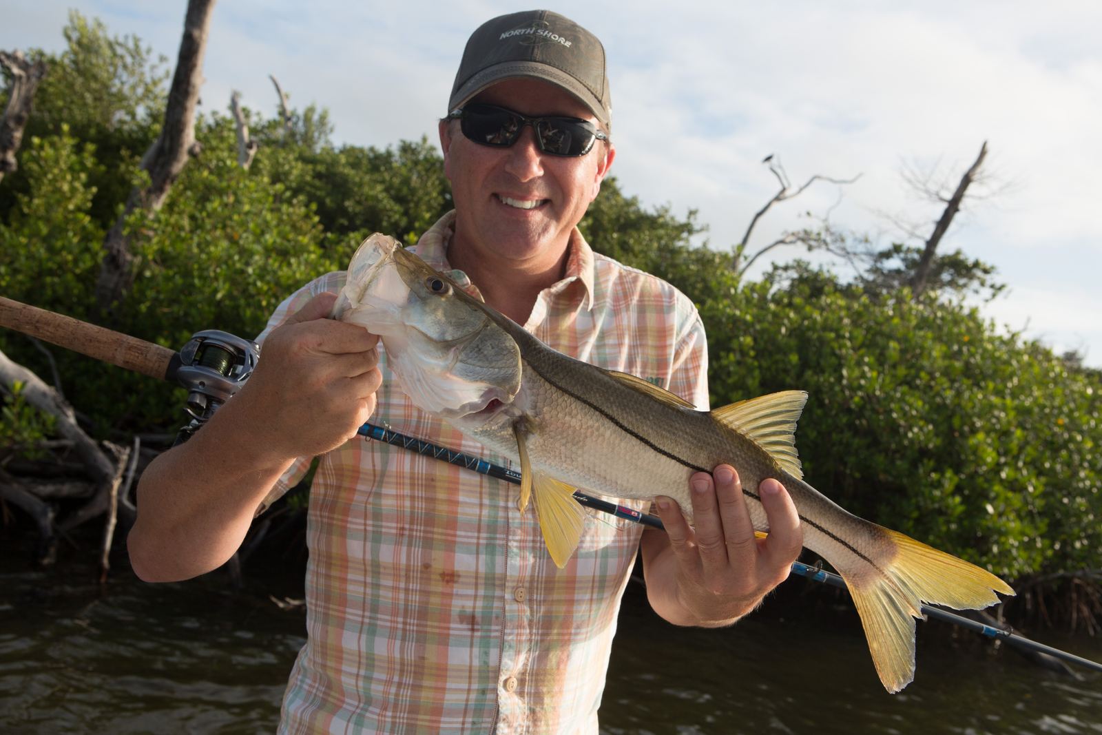 An angler holding a snook and a baitcast rod against a mangrove shoreline