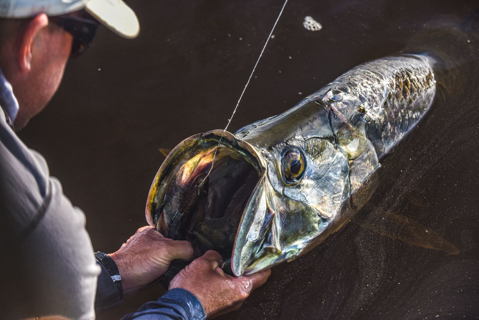 Tarpon's bony mouth held open by an angler showing the hook in the corner of the jaw