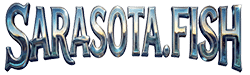 Sarasota Fishing Charters